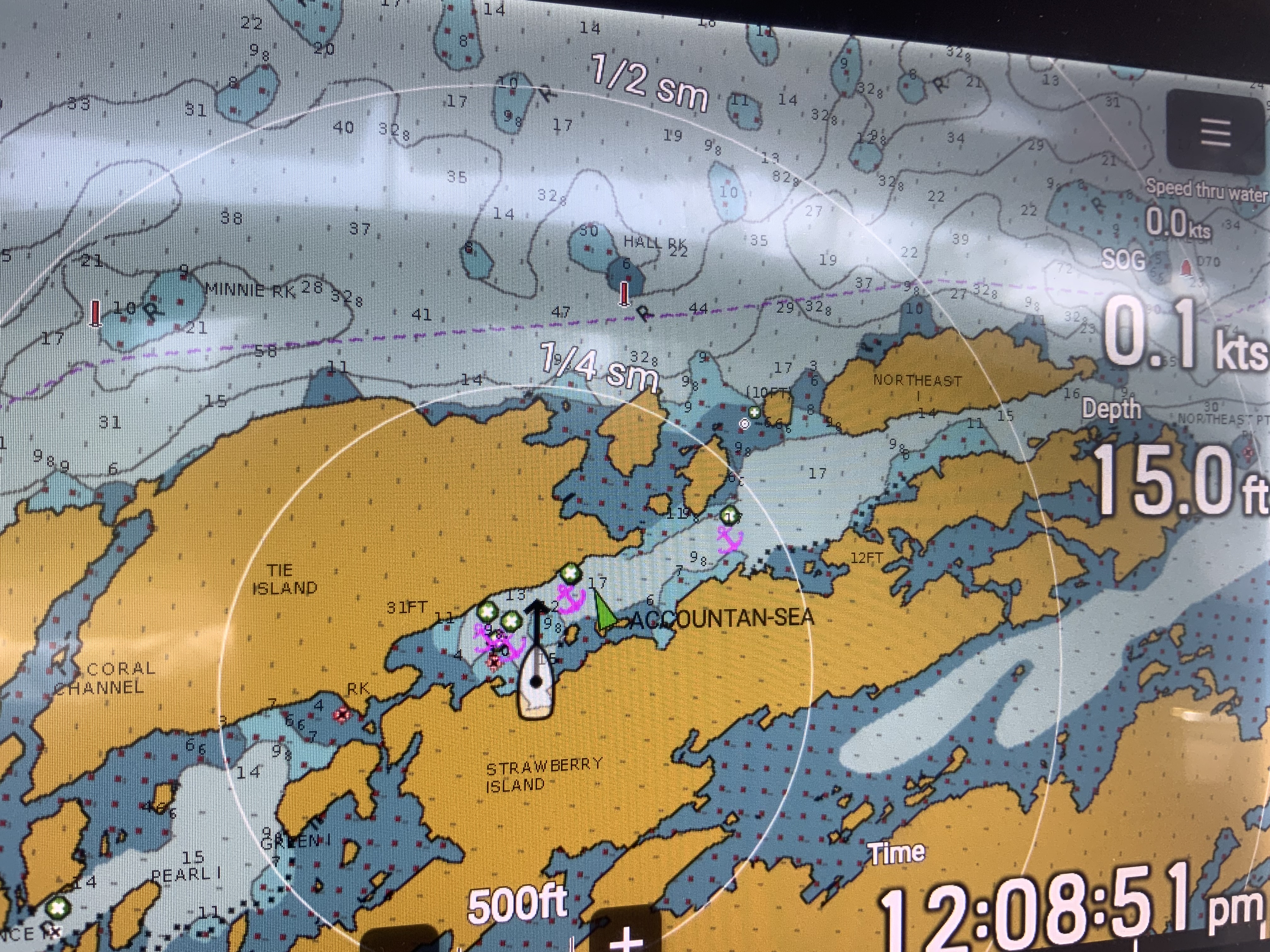 Vitae anchored on the chart