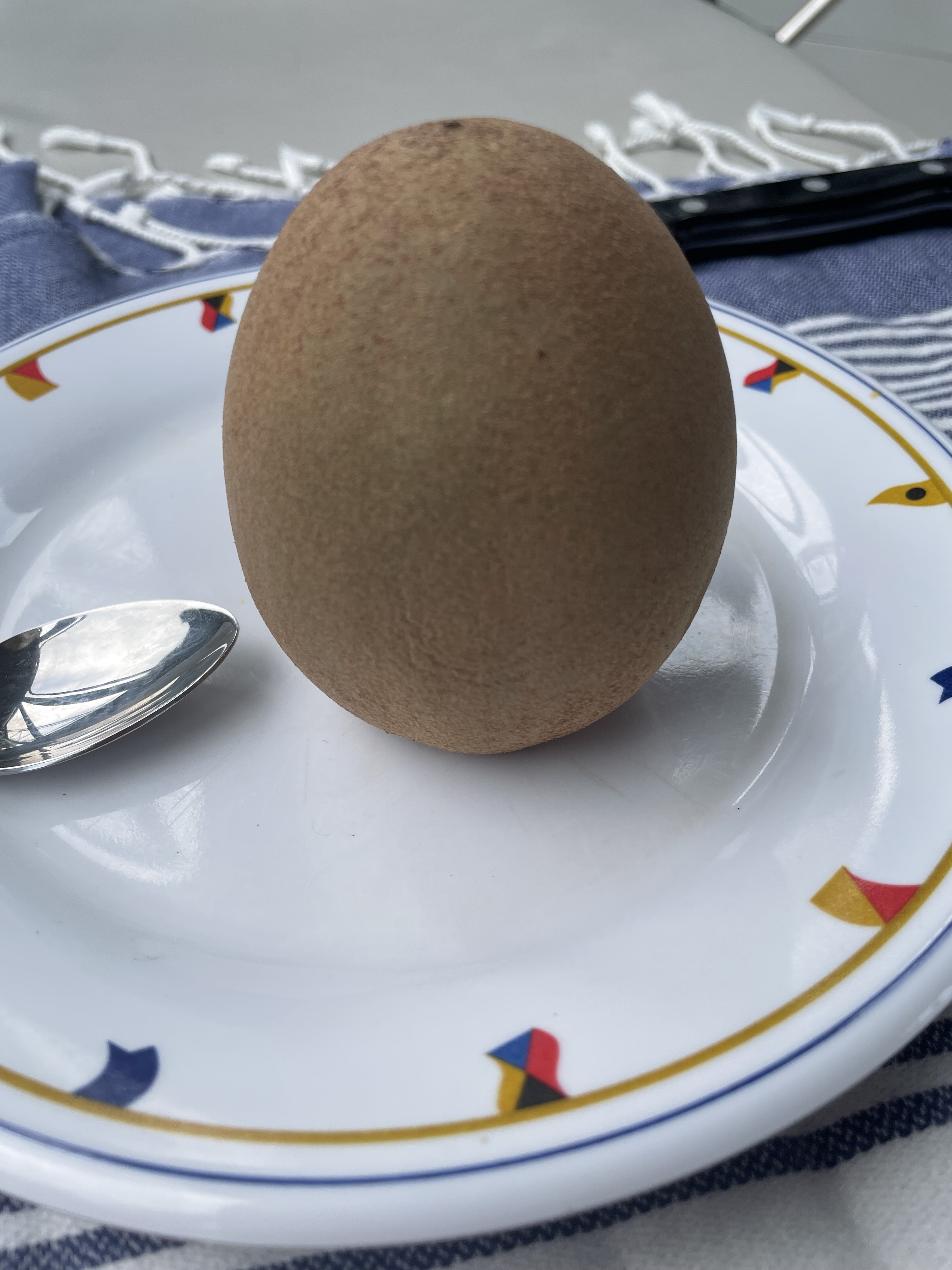 The Sapodilla fruit