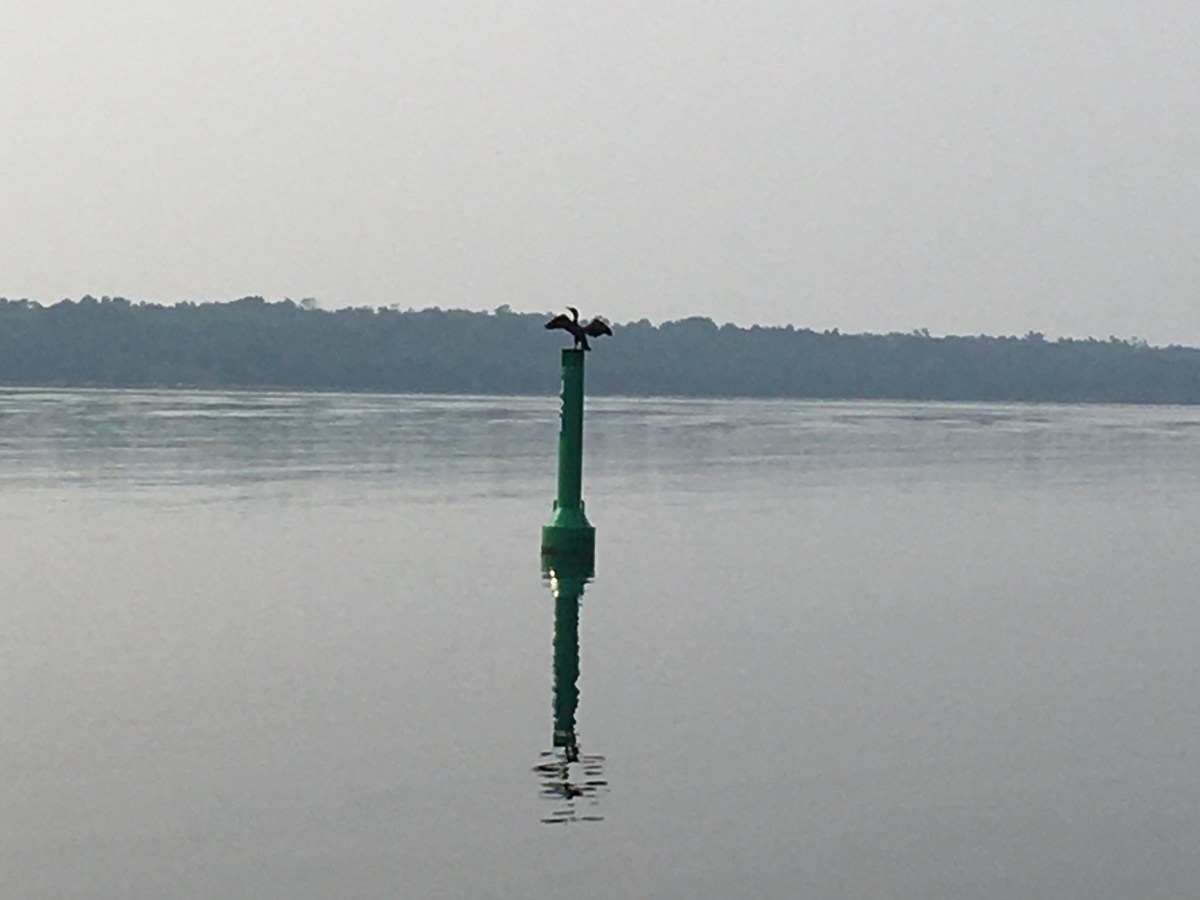 Central North Channel of Georgian&nbsp;Bay